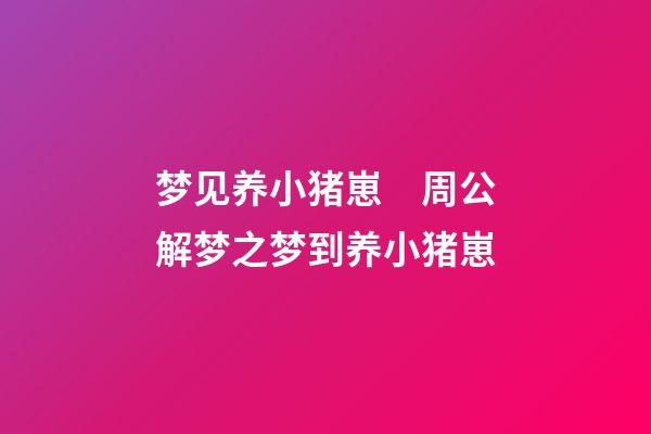 梦见养小猪崽　周公解梦之梦到养小猪崽
